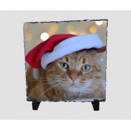 Mikulás sapkás cicát ábrázoló 20x20 cm-es karácsonyi kőlap