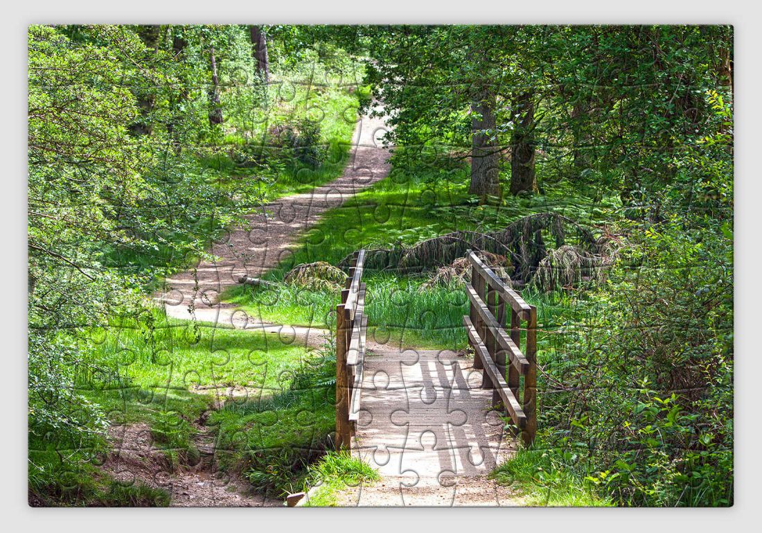 Gyönyörű zöld parkban álló gyalogos hidat ábrázoló tájképes kirakó